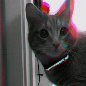 Meet your Posher, Audrey